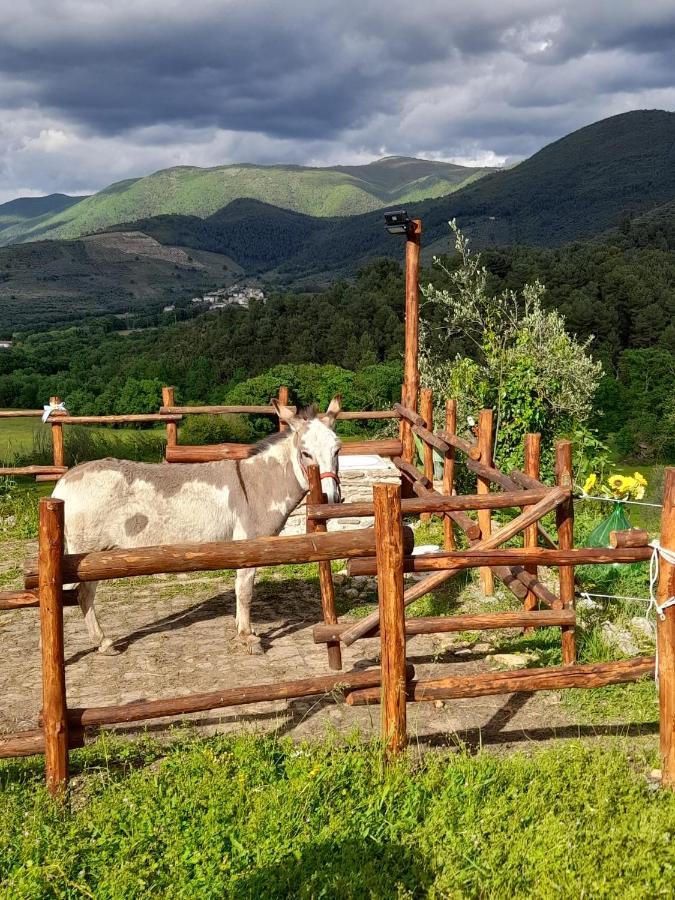 Volver B&B Σπολέτο Εξωτερικό φωτογραφία