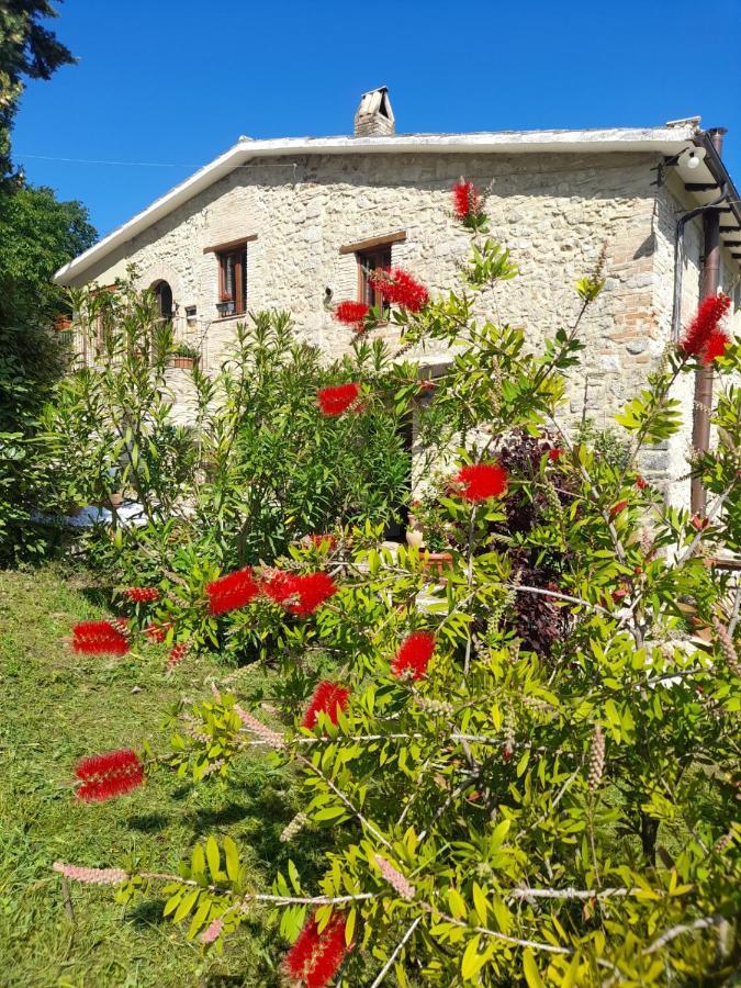 Volver B&B Σπολέτο Εξωτερικό φωτογραφία